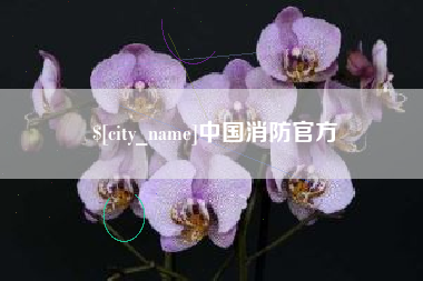 信阳中国消防官方
