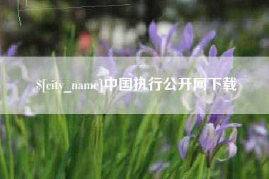 信阳中国执行公开网下载