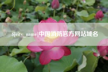 信阳中国消防官方网站域名
