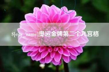 信阳奥运金牌第二个九宫格