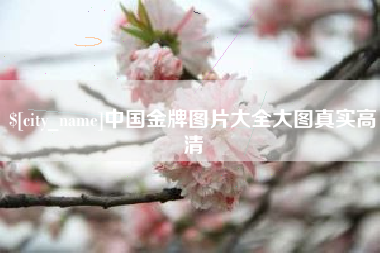 信阳中国金牌图片大全大图真实高清