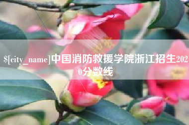 信阳中国消防救援学院浙江招生2020分数线
