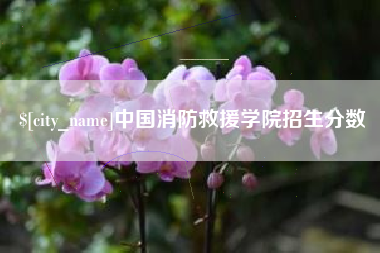 信阳中国消防救援学院招生分数