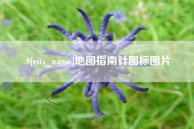 信阳地图指南针图标图片