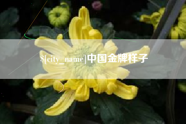 信阳中国金牌样子