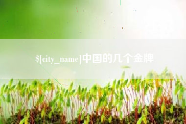 信阳中国的几个金牌