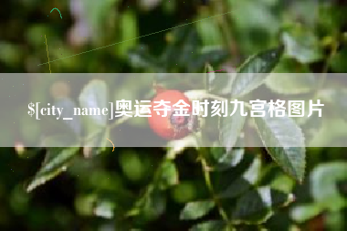信阳奥运夺金时刻九宫格图片