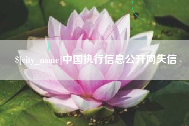 信阳中国执行信息公开网失信