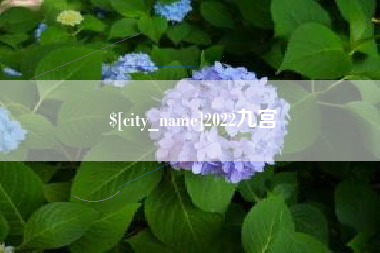 信阳2022九宫