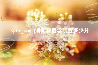 信阳消防救援学院要多少分