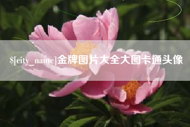 信阳金牌图片大全大图卡通头像