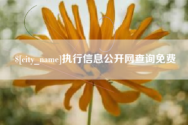 信阳执行信息公开网查询免费