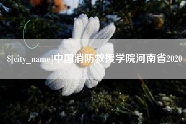 信阳中国消防救援学院河南省2020